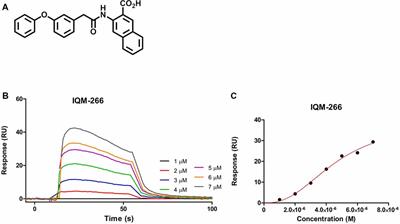 Identification of IQM-266, a Novel DREAM Ligand That Modulates KV4 Currents